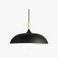 Pendant Light Wood Accent & Iron Shade