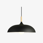 Pendant Light Wood Accent & Iron Shade