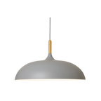 Pendant Light Wood Accent & Iron Shade