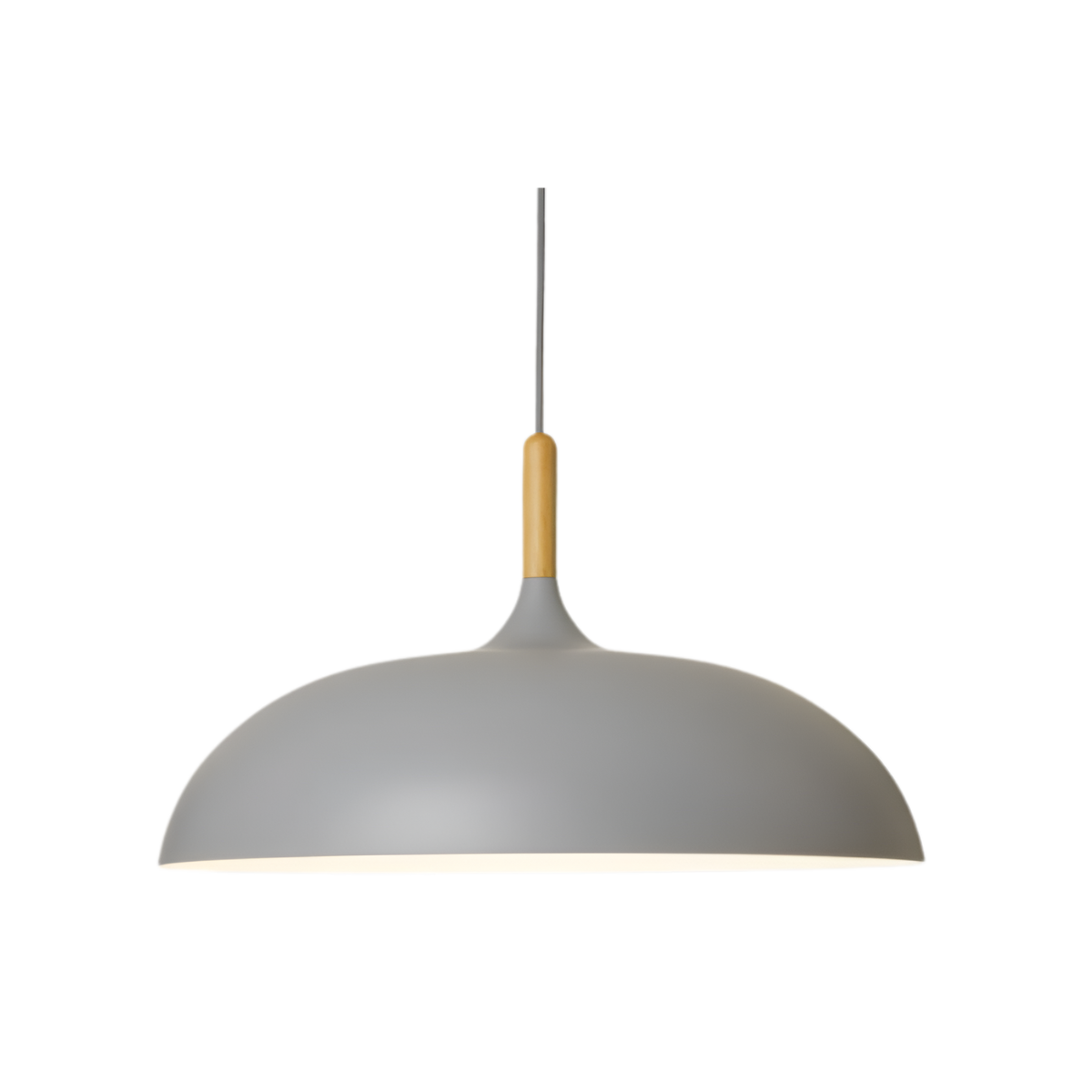 Pendant Light Wood Accent & Iron Shade