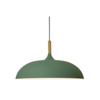 Pendant Light Wood Accent & Iron Shade