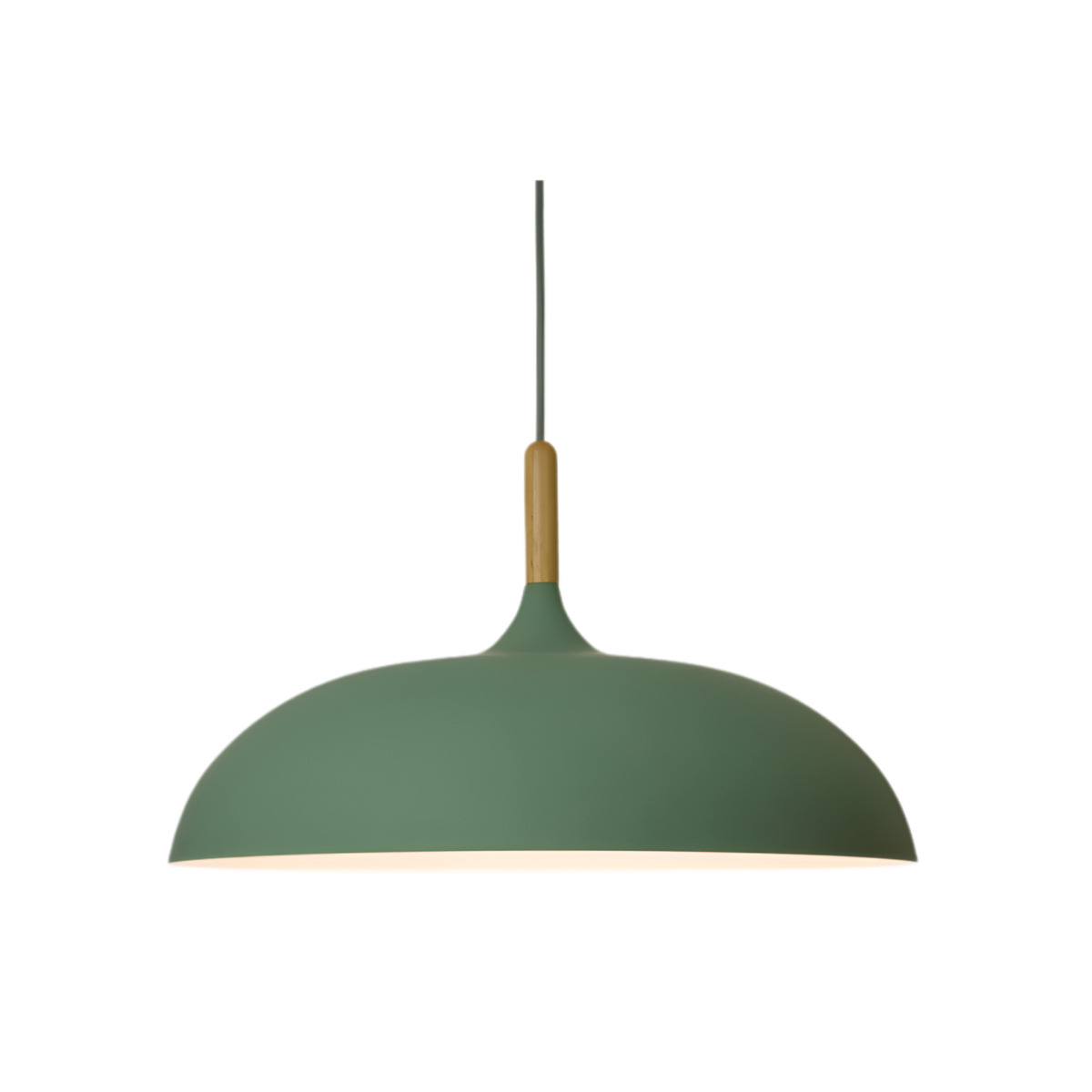 Pendant Light Wood Accent & Iron Shade