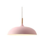 Pendant Light Wood Accent & Iron Shade