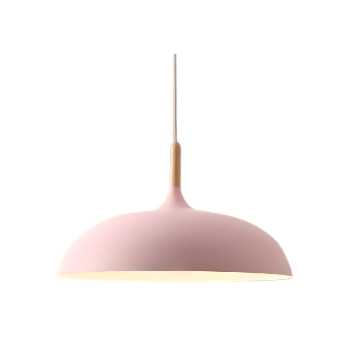 Pendant Light Wood Accent & Iron Shade