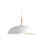Pendant Light Wood Accent & Iron Shade