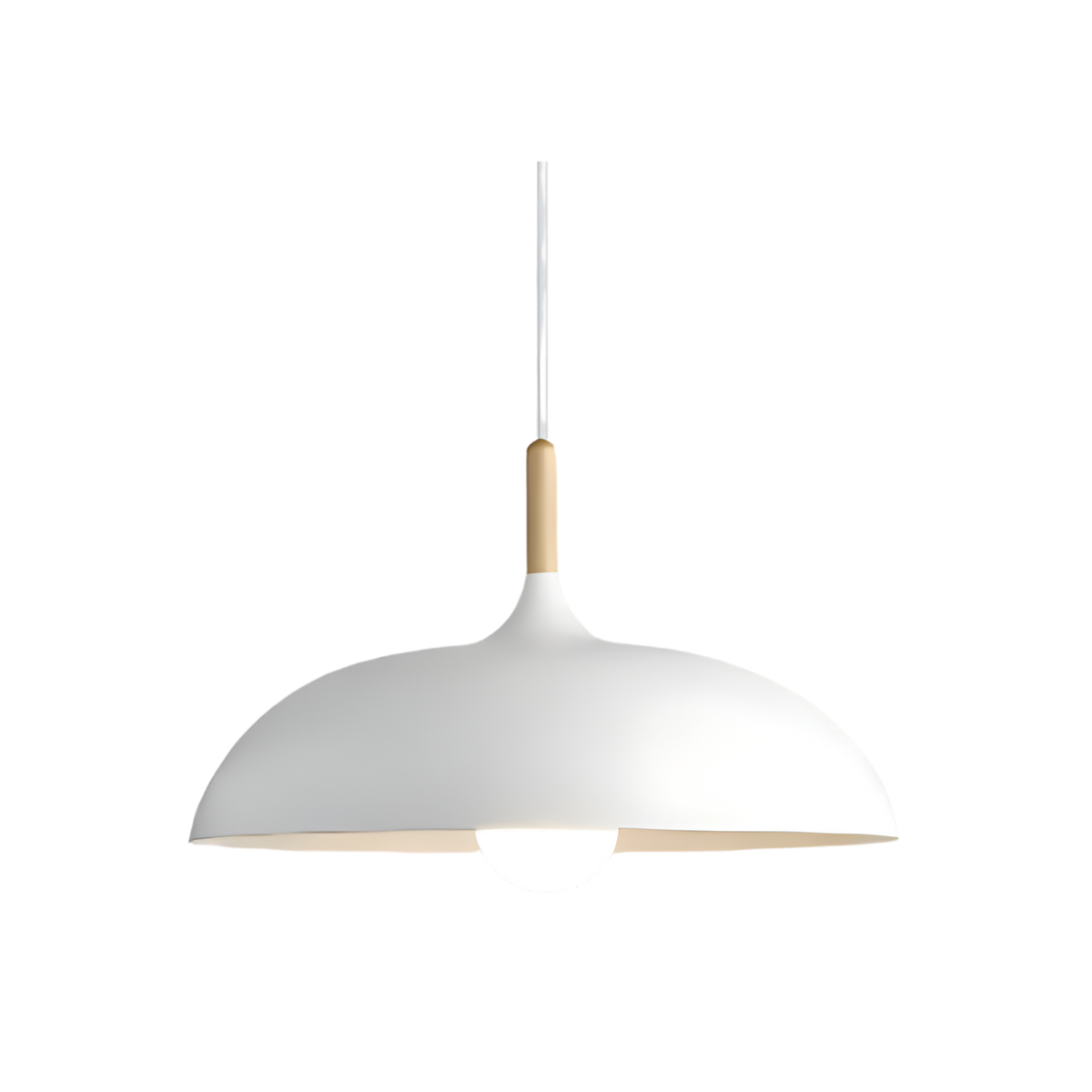 Pendant Light Wood Accent & Iron Shade