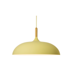 Pendant Light Wood Accent & Iron Shade