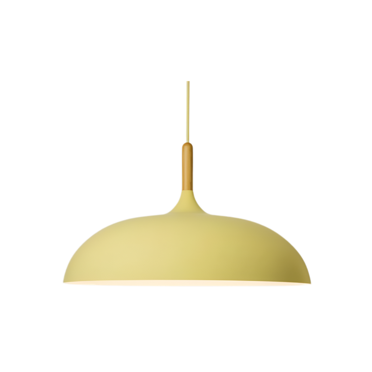 Pendant Light Wood Accent & Iron Shade