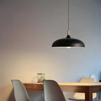 Pendant Light Wood Accent & Iron Shade