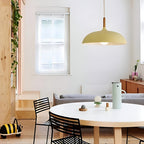 Pendant Light Wood Accent & Iron Shade