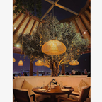 Pendant Light Woven Rattan Shade & Solid Wood Canopy