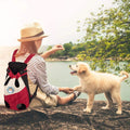 Pet Backpack Canvas & Breathable Mesh Adjustable Fit