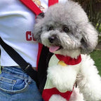 Pet Backpack Canvas & Breathable Mesh Adjustable Fit