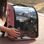 Pet Backpack Transparent Foldable Food-Grade PC