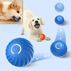 Pet Ball Toy Self-Moving Silicone USB Rechargeable