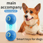 Pet Ball Toy Self-Moving Silicone USB Rechargeable