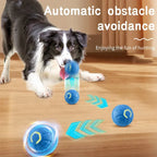 Pet Ball Toy Self-Moving Silicone USB Rechargeable