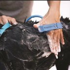 Pet Bathing Tool Full-Coverage Spray 2.5m Hose & Adapters
