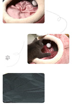 Pet Bed All-Season Cloth Pink Rabbit