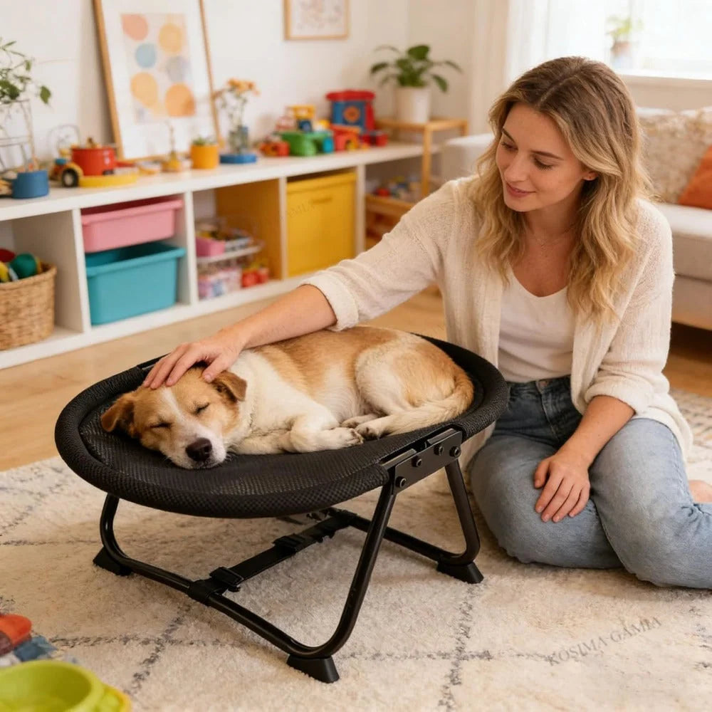 Pet Bed Elevated Breathable Mesh Foldable Steel Frame