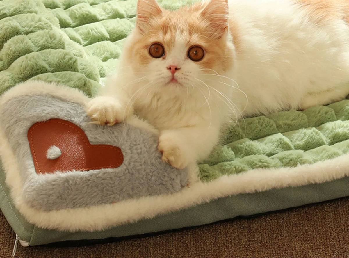 Pet Bed Small & Medium Velvet Plush Machine-Washable Cushion