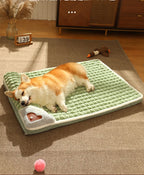Pet Bed Small & Medium Velvet Plush Machine-Washable Cushion