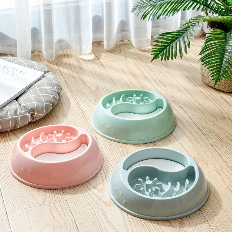 Pet Bowl Anti-Choke Eco-Friendly & Travel-Friendly