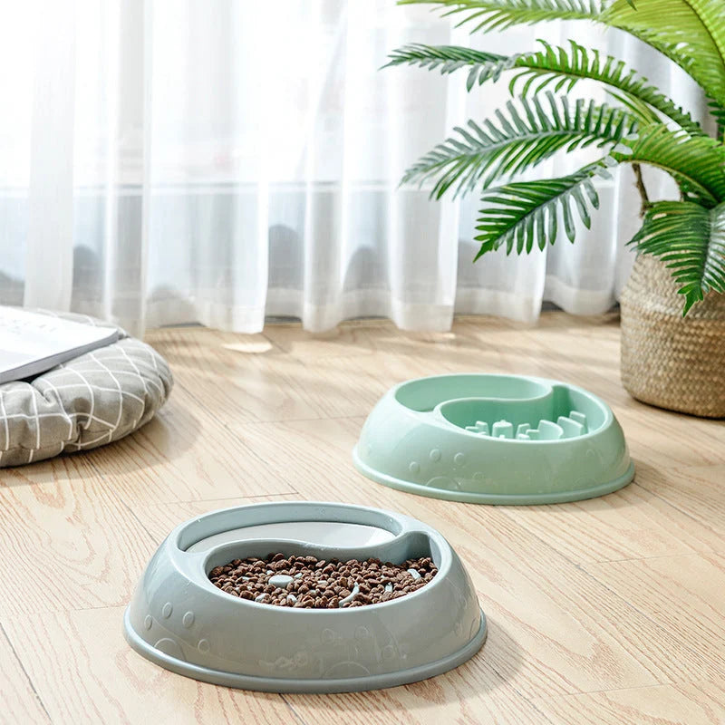 Pet Bowl Anti-Choke Eco-Friendly & Travel-Friendly