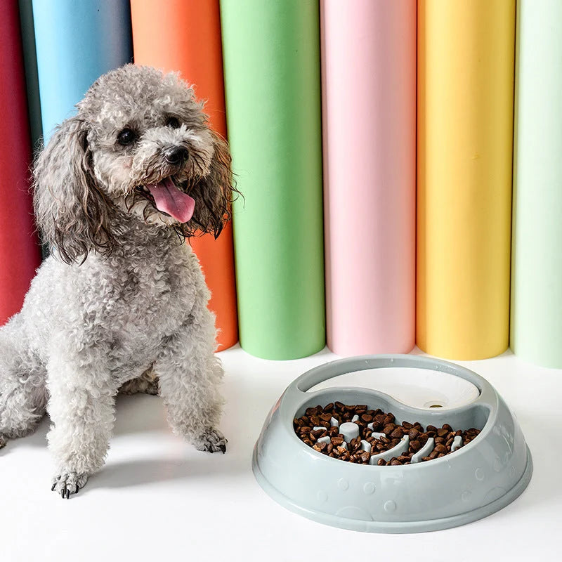 Pet Bowl Anti-Choke Eco-Friendly & Travel-Friendly