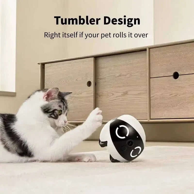 Pet Camera 2K Video Two-Way Audio Extended Battery