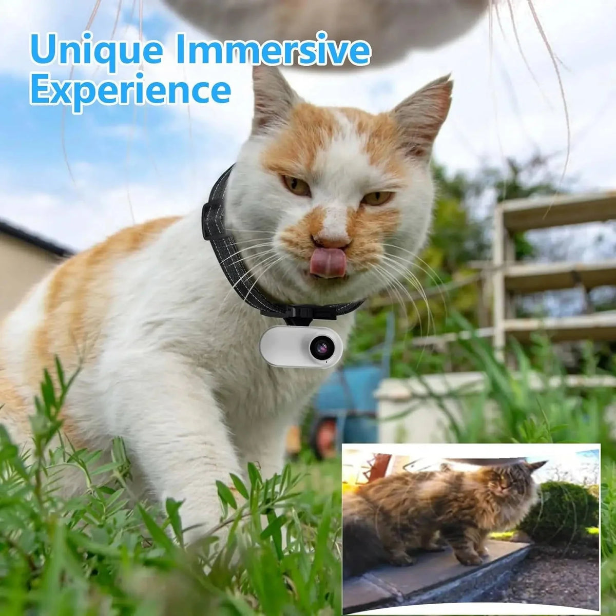 Pet Camera Collar Magnetic Mount 1080p Night Vision