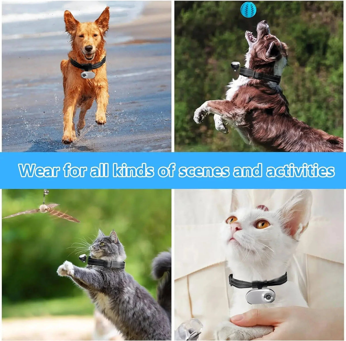 Pet Camera Collar Magnetic Mount 1080p Night Vision
