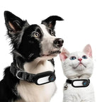 Pet Camera Collar Magnetic Mount 1080p Night Vision