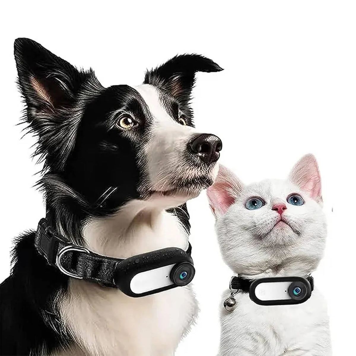 Pet Camera Collar Magnetic Mount 1080p Night Vision