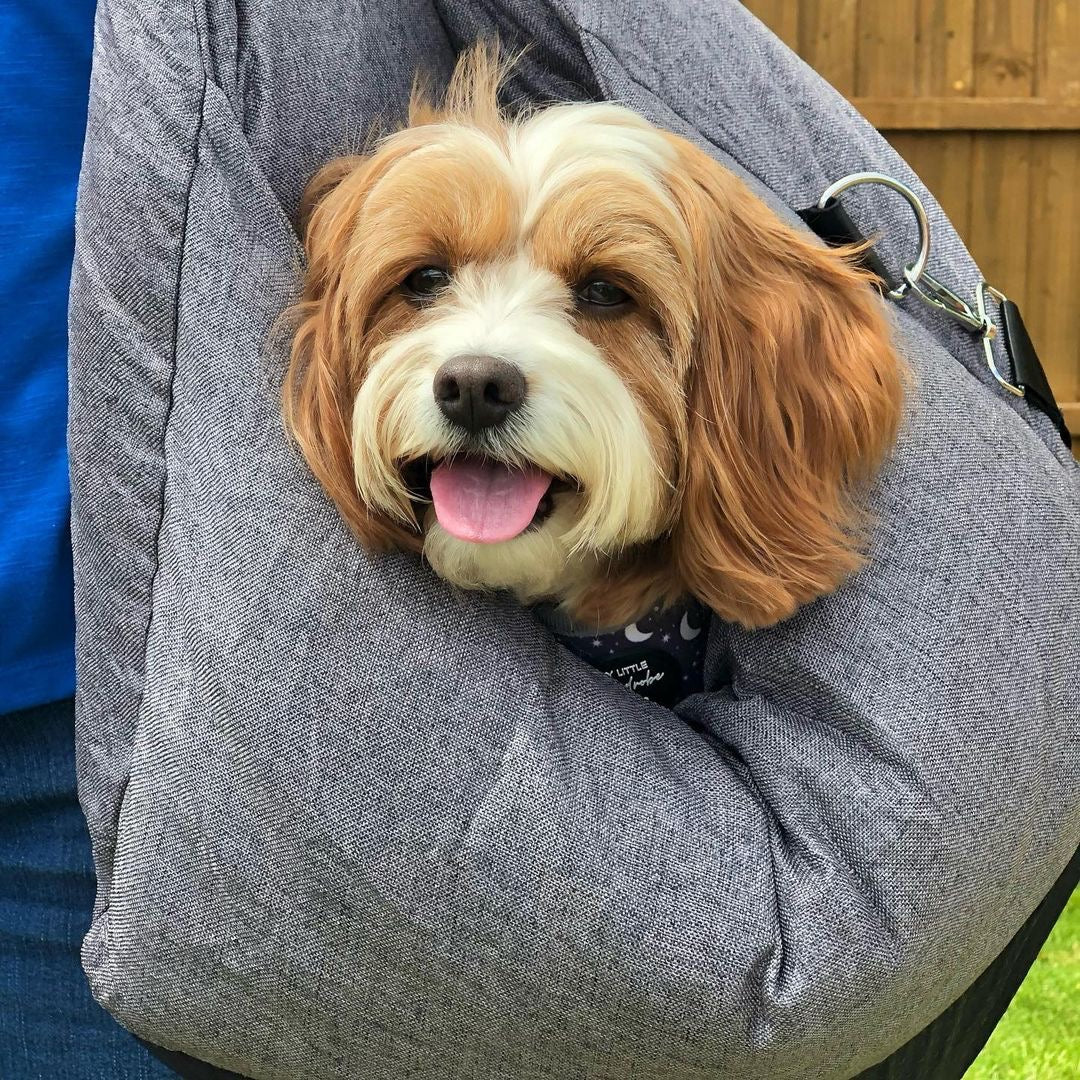Pet Car Seat Bed Adjustable Safety Straps Reversible Cushion