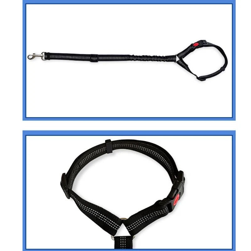 Pet Car Seat Belt Elastic Shock-Absorbing Adjustable & Reflective