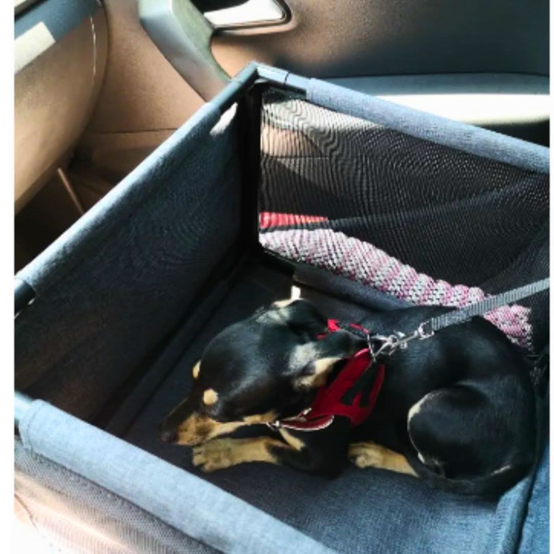 Pet Car Seat Convertible Hammock Waterproof & Non-Slip
