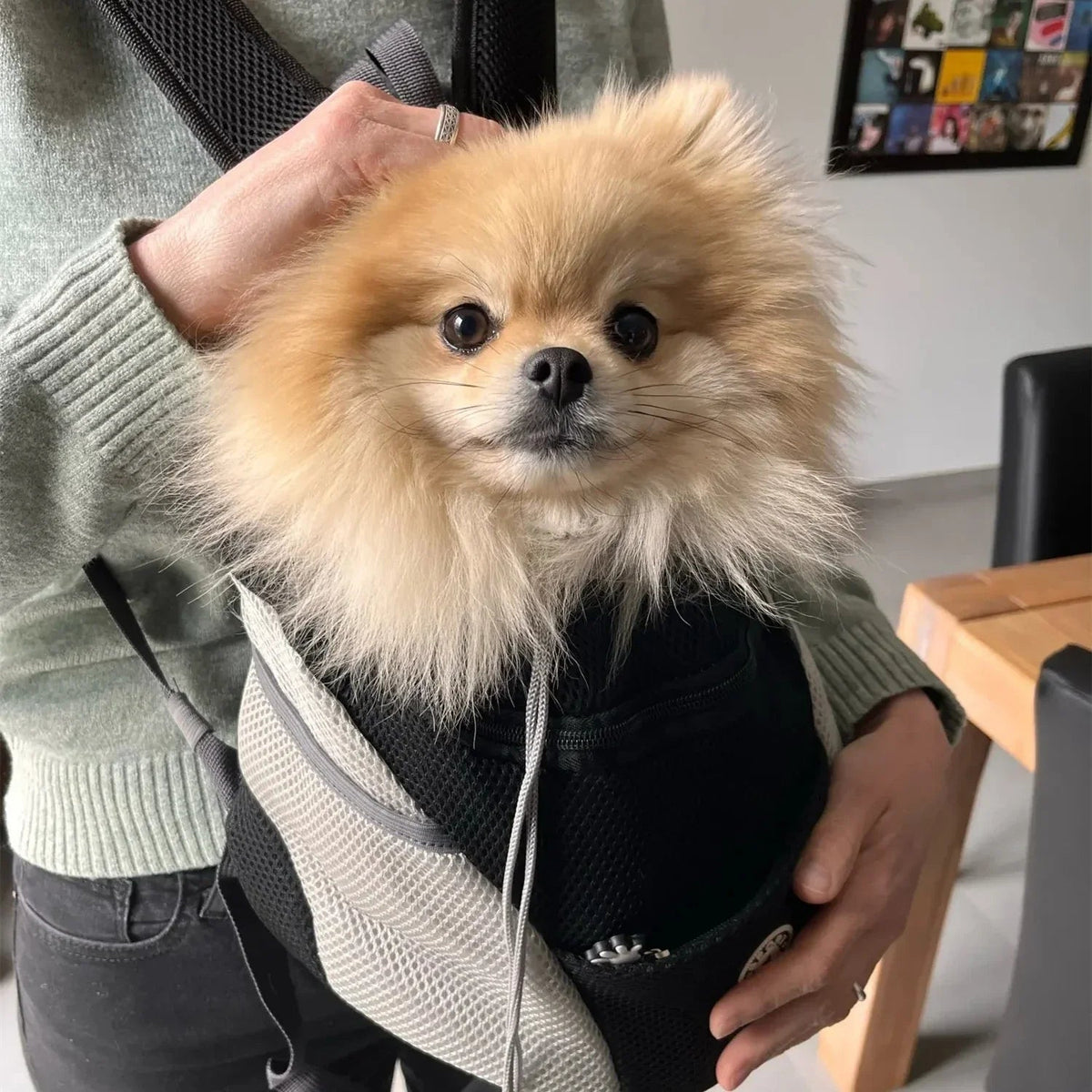Pet Carrier Backpack Breathable Mesh Hands-Free Durable Nylon