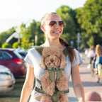 Pet Carrier Backpack Secure Multi-Closure Chest & Back Wearable