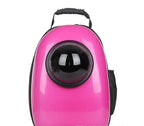 Pet Carrier Backpack Space Capsule Breathable Airline Approved