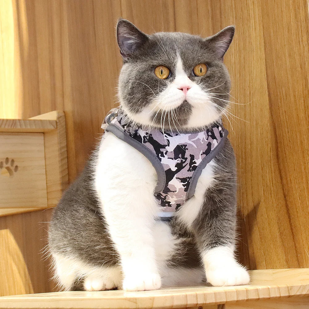 Pet Chest Harness Reflective & Breathable Mesh Adjustable Fit