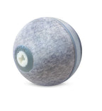 Pet Chew Toy Interactive Treat-Dispensing Durable