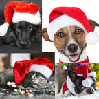 Pet Christmas Hat Soft Lined Adjustable One Size