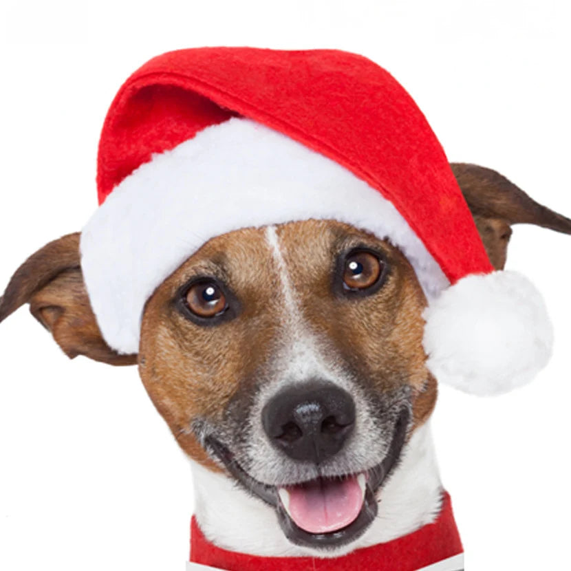 Pet Christmas Hat Soft Lined Adjustable One Size