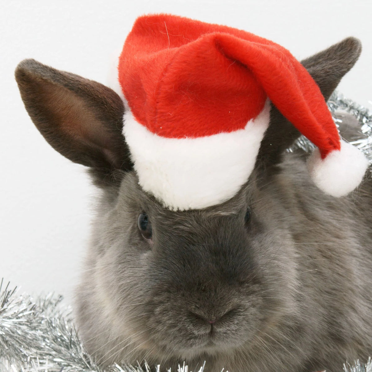 Pet Christmas Hat Soft Velvet Washable One Size