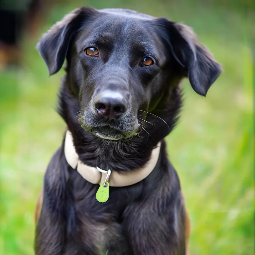 Pet Collar Tracker Bluetooth Proximity & Audible Alert