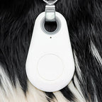 Pet Collar Tracker Bluetooth Proximity & Audible Alert