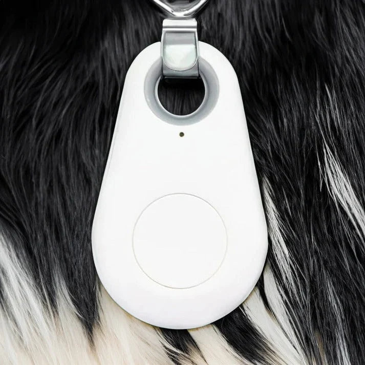 Pet Collar Tracker Bluetooth Proximity & Audible Alert