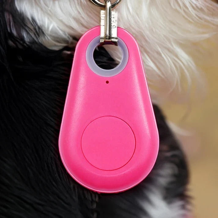 Pet Collar Tracker Bluetooth Proximity & Audible Alert