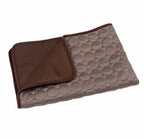 Pet Cooling Mat Ice Silk & Breathable Mesh Foldable